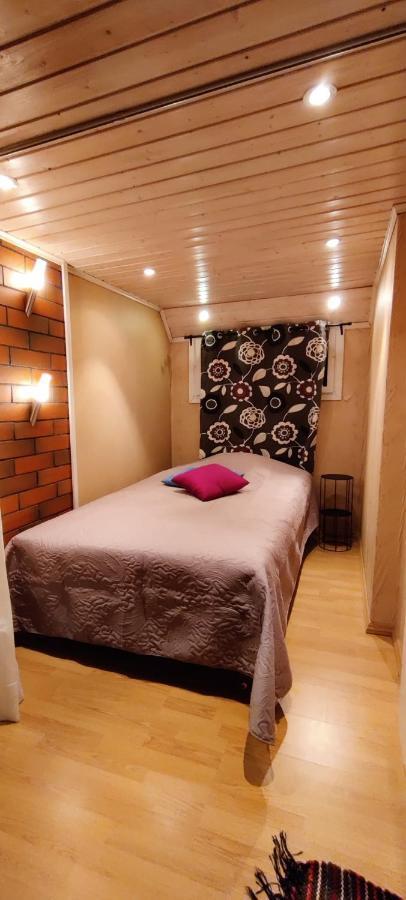 Koivuniemi Cottage Säkylä Bagian luar foto
