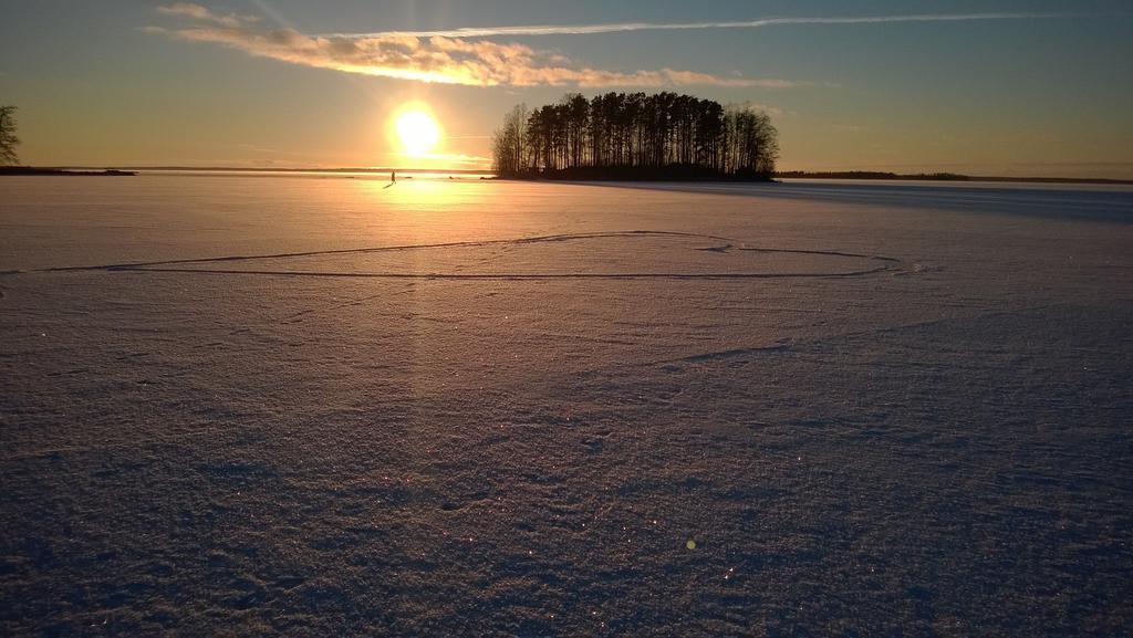 Koivuniemi Cottage Säkylä Bagian luar foto