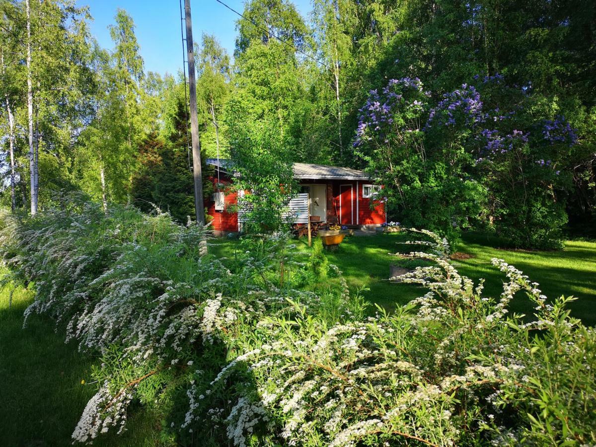 Koivuniemi Cottage Säkylä Bagian luar foto