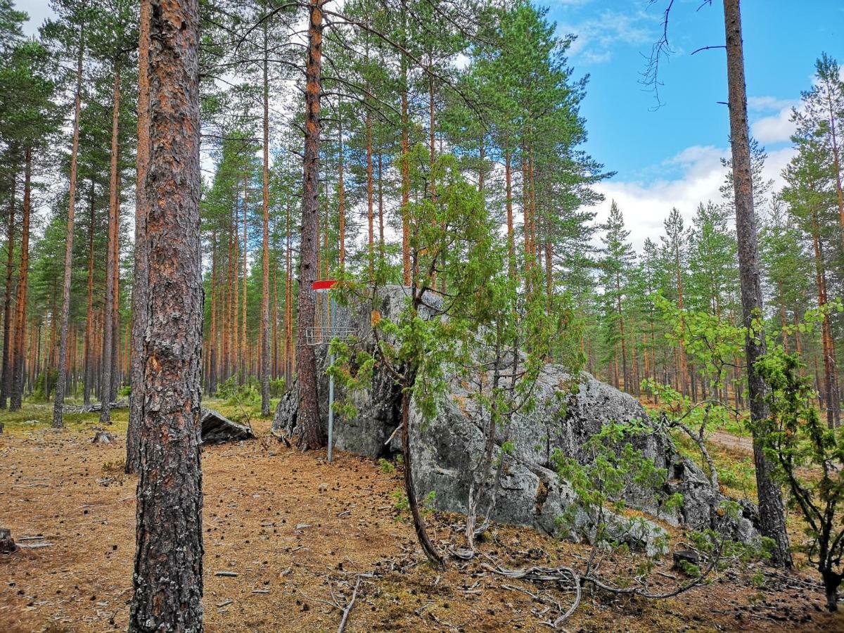 Koivuniemi Cottage Säkylä Bagian luar foto