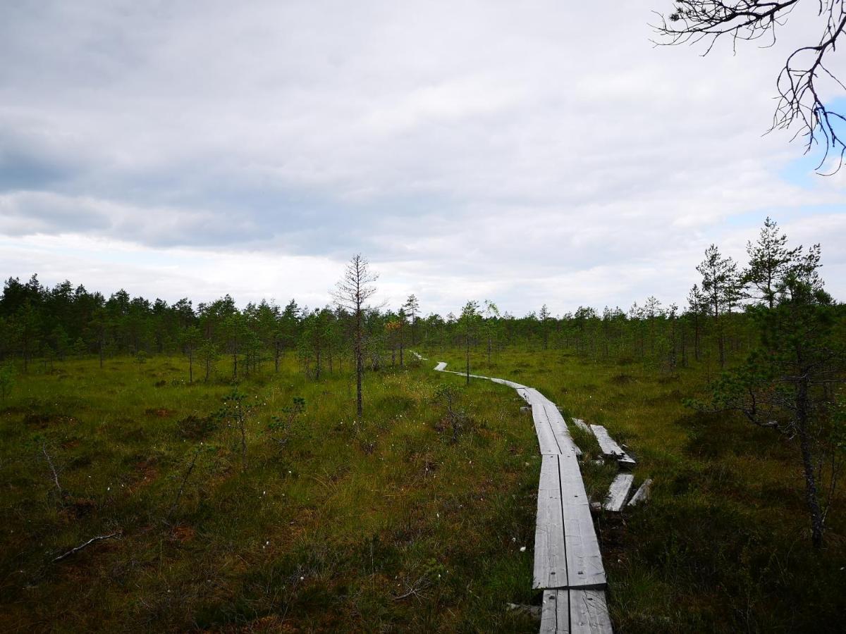 Koivuniemi Cottage Säkylä Bagian luar foto