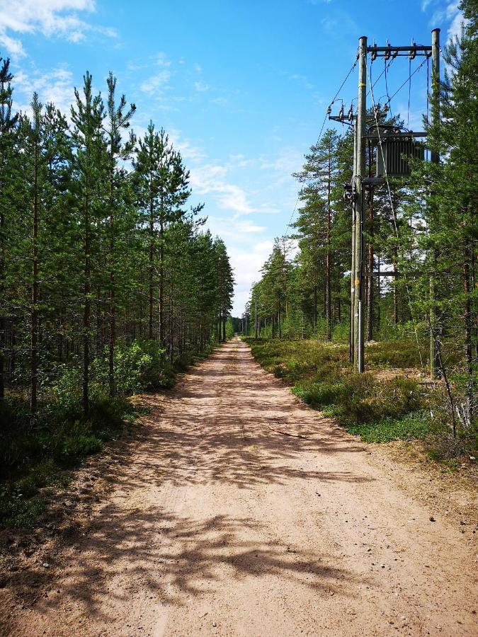 Koivuniemi Cottage Säkylä Bagian luar foto